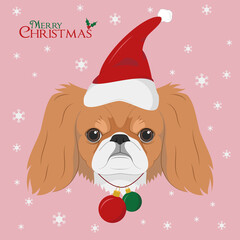 Christmas greeting card. Pekingese dog with red Santa's hat and Christmas toy balls