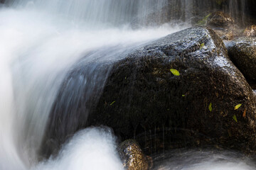 Rocas y hojas en el rio Iruelas. Avila. España. Europa