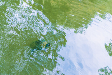 【栗林公園】香川