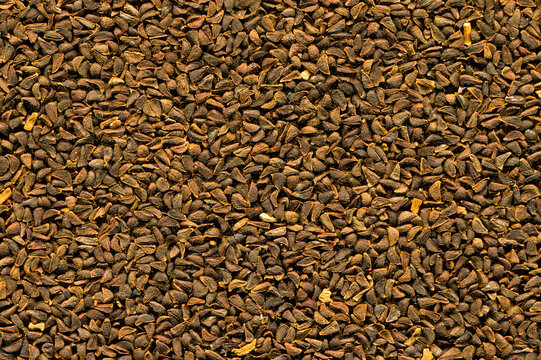 Close up brown harmal seed texture, uzerlik tohumu