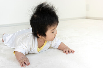 Fototapeta premium うつ伏せから頭を上げようとしている赤ちゃん（0歳、生後4か月、女の子）
