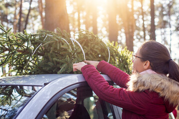 Young brunette girl at the christmas market, lifting the tree on top of the car. Winter, holidays and family time concept.