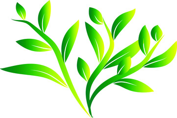 vector green bush with leaves. bush branches with green leaves