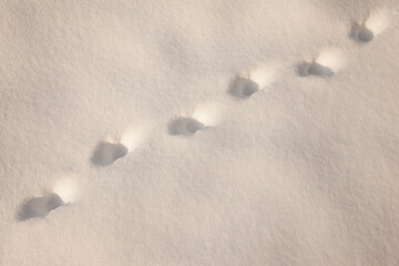 human footprints in deep snow