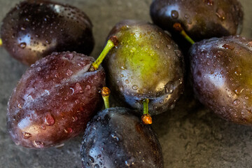 Fresh plums on a table. Water drops on juicy fruits. Close up photo of garden plums. 