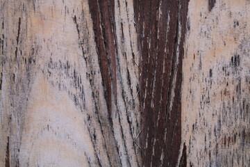 Texture, muri, legno, corteccia, metalli