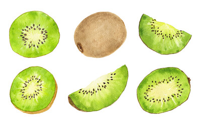 Fototapeta premium Set of watercolor kiwi fruit isolated on white background.