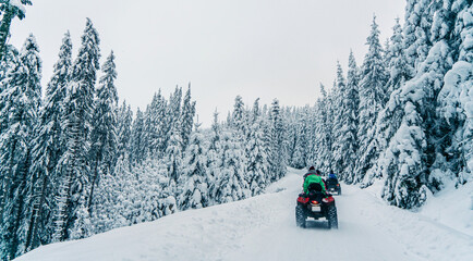 Rider driving in the quad bike race in winter in beautiful snowy road with fir trees in frozen mountains forest. Winter holiday