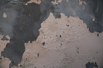 Texture, muri, legno, corteccia, metalli