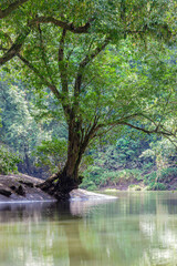 National park La Quinta in Costa Rica