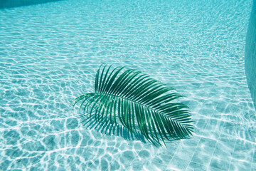 A palm leaf floating inside a swimming pool