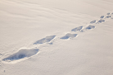 human footprints in deep snow