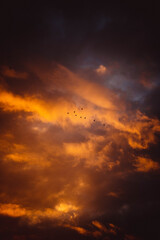 Wolken bei Sonnenuntergang