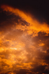 Wolken bei Sonnenuntergang