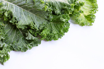 Fresh kale leaves salad vegetable on white background. - obrazy, fototapety, plakaty