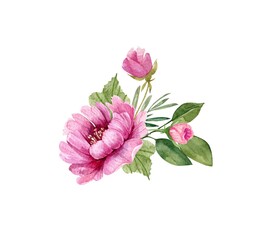 delicate bouquet with flowers pink peonies watercolor illustration on a white background. hand painted for wedding invitations, decor and design	
