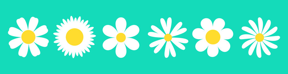 White daisy chamomile set. Camomile icon line banner. Cute round flower head plant nature collection. Decoration element. Love card symbol. Growing concept. Flat design. Isolated. Green background.