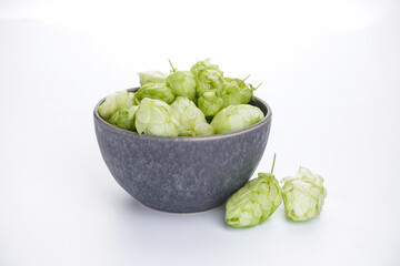 Ripe hops in a bowl on a white background
