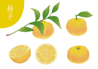 柚子のいろんな素材イラスト