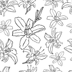 Vector illustration of a black white lily pattern