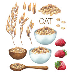 Watercolor collection of cereals, bowls, spoon and handful of oats, strawberries.