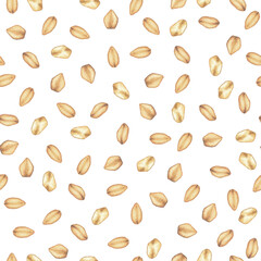 Watercolor seamless pattern of the tiny oats