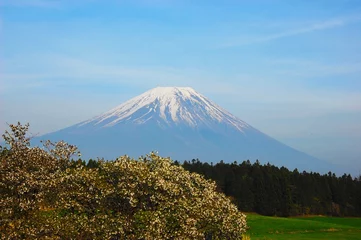 Foto op Canvas 富士山 © kami