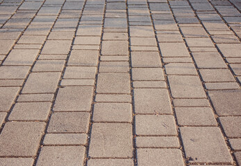 Fototapeta premium Paving stones. Stone floor. A park. 