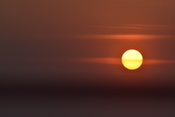 The evening Sun shining through the Golden Hour