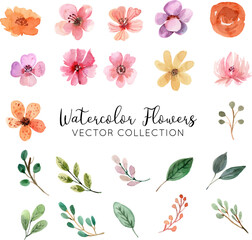 Watercolor Flowers Vector Collection