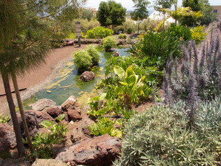 Obraz premium Isla de Tenerife, Islas Canarias. Landscapes, fauna and flora.