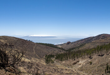 Isla de Tenerife, Islas Canarias. Landscapes, fauna and flora.