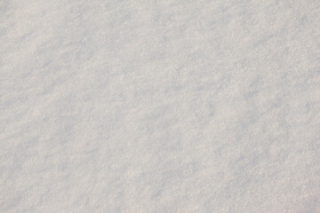 winter background with snow texture closeup