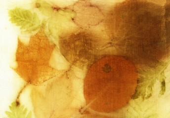 Botanical print with leaf prints on natural silk