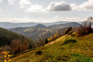 Fototapeta na wymiar nature in mountains in Romania