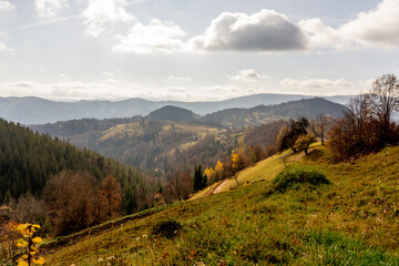 Naklejka na ściany i meble nature in mountains in Romania