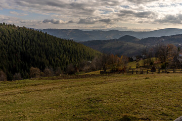 nature in mountains in Romania