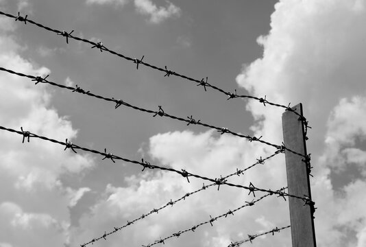 barbed wire protection in the prison border