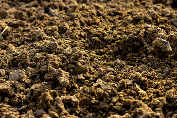 Manure or cow manure for cultivation and agriculture.