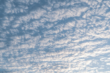 altocumulus clouds at sunny day. cloudscape in morning sky. - obrazy, fototapety, plakaty