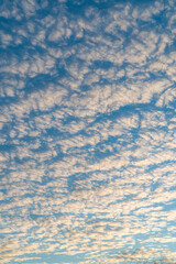 Fototapeta premium altocumulus clouds at sunny day. cloudscape in morning sky.