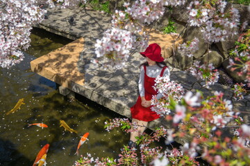 Japanese woman is sitting under the Sakura tree.
Japanese Cherry Blossom Festival.
Japanese Sakura...