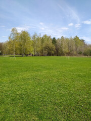 Fototapeta na wymiar Sunny warm spring day. Green field. Football field. Beautiful landscape. Background for the screen.