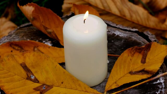 White burning candle on a stump among fallen yellow autumn leaves