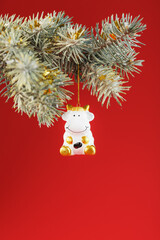 white ox, red candle and Christmas tree branch on a red background