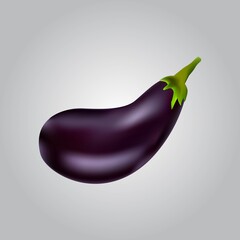 Eggplant realistic image. Vector illustration.