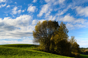 Hügellandschaft im Herbst