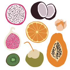 Exotic fruits collection. Figs, papaya, physalis, coconut, orange, kiwi, dragonfruit. Vector illustrations on white isolated background