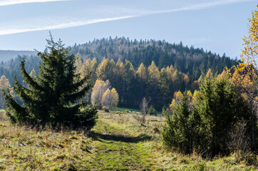 Bieszczady - Panorama