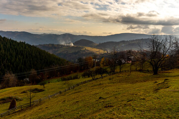 Horse Carriage in romania mountains